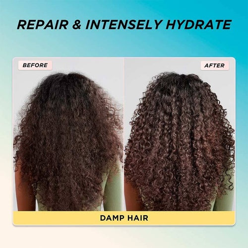 Gisou
Intense Hydration & Hair Repair Duo