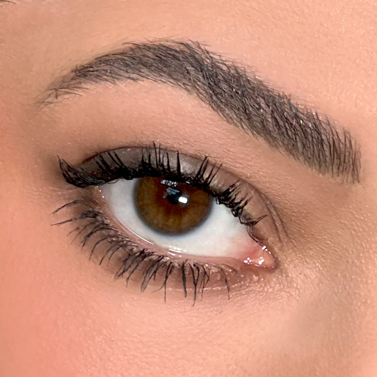 KEVYN AUCOIN Indecent Mascara