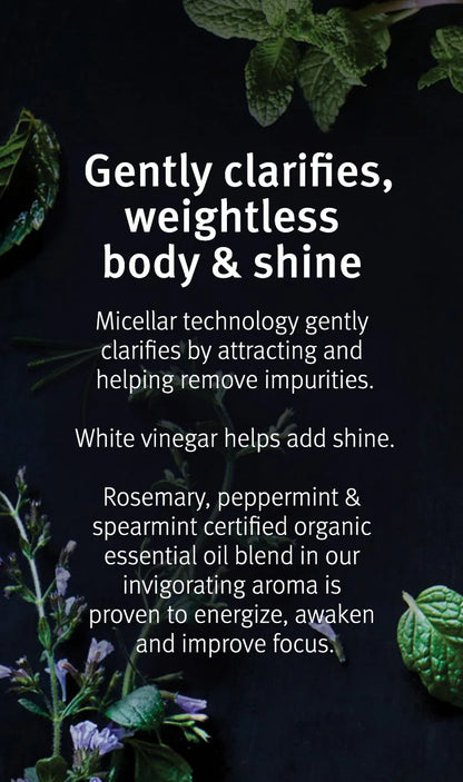 Aveda Rosemary mint purifying shampoo